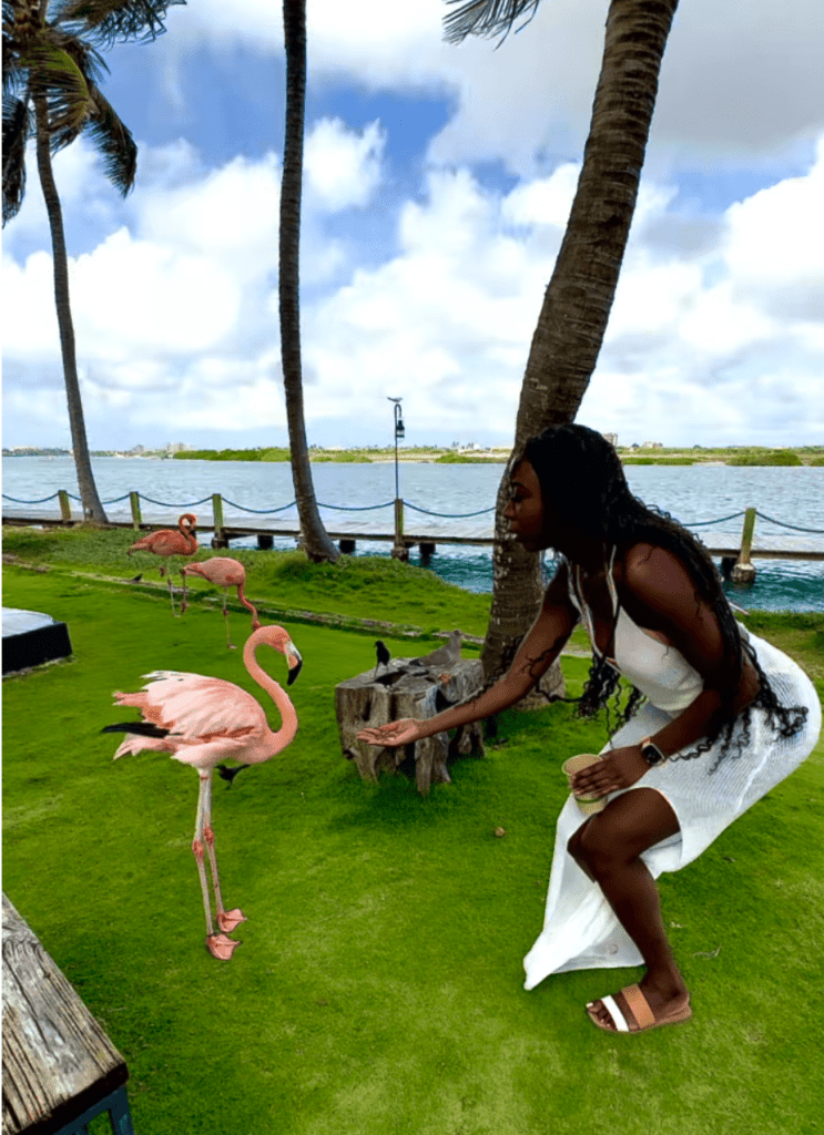Renaissance Hotel Aruba flamingo Beach